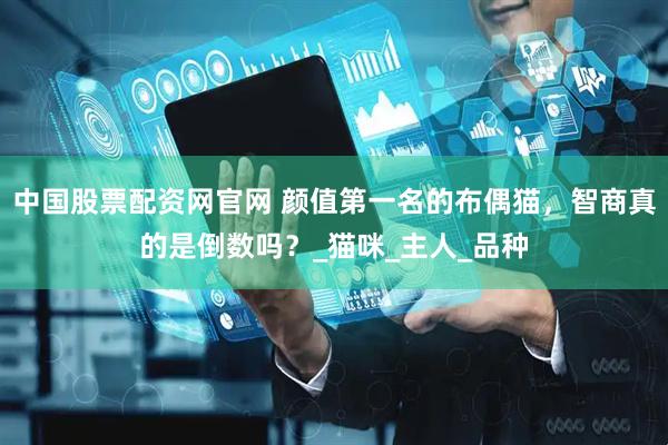 中国股票配资网官网 颜值第一名的布偶猫，智商真的是倒数吗？_猫咪_主人_品种